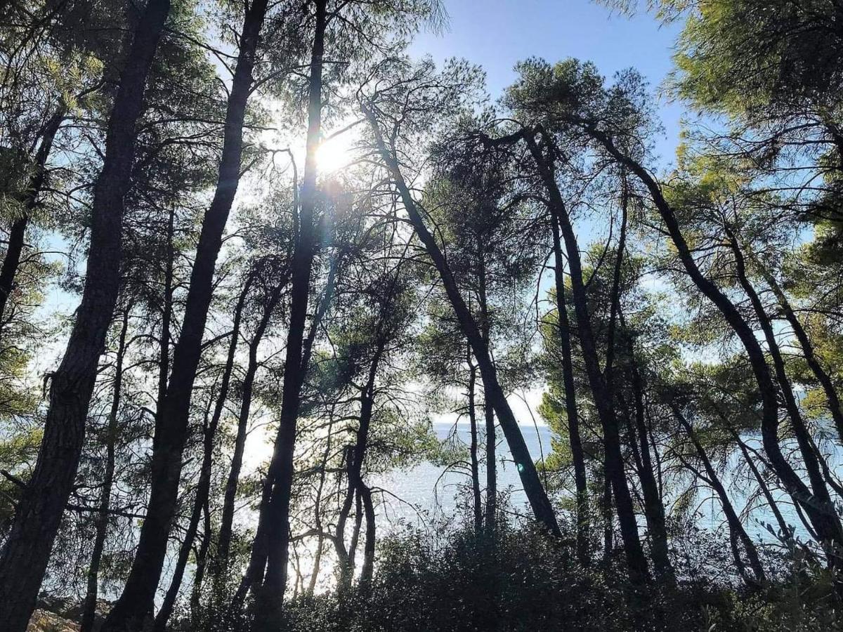 Appartamento Alexandra Sofia Stafylos Esterno foto
